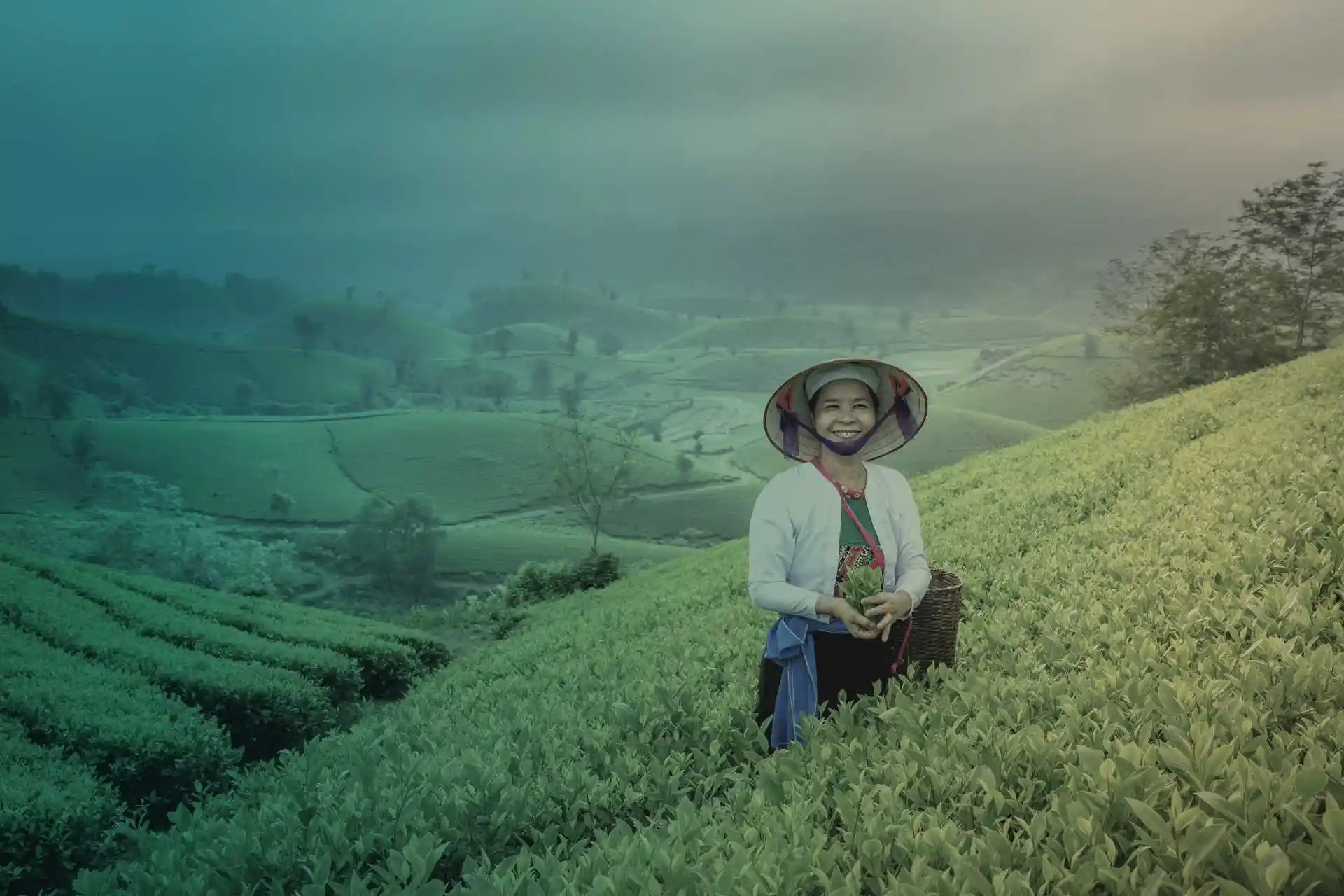 A smiling Asian woman in a field